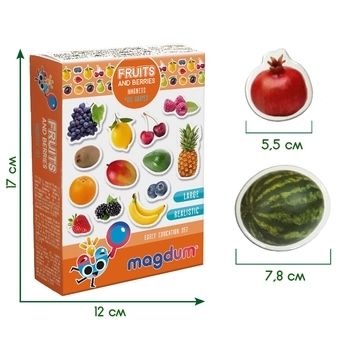 Магнитный набор Magdum Magnetic set Fruits and berries (ML4031-11 EN) - Pampik - 2