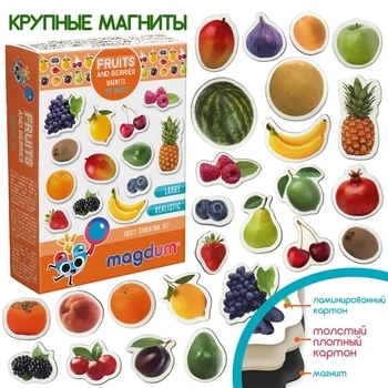 Магнитный набор Magdum Magnetic set Fruits and berries (ML4031-11 EN) - Pampik