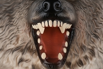 М'яка іграшка Same Toy Вовк (X318Ut) - Pampik - 3