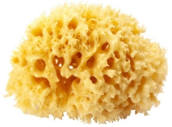 Натуральная губка для ванны OK Baby Silk Fine sea sponge, р.16, желтый (38481600) - Pampik
