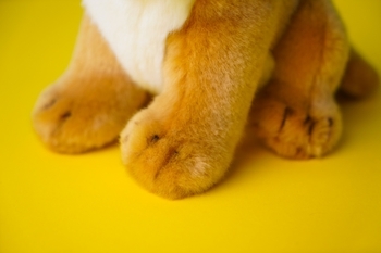 М'яка іграшка Hansa Левеня, 18 см (3422) - Pampik - 6