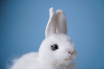 М'яка іграшка Hansa Заєць, 17 см (2832) - Pampik - 3