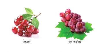 Карамелька. Що росте в саду? - Лілія Гуменна - Pampik - 7