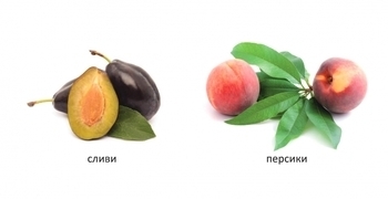 Карамелька. Що росте в саду? - Лілія Гуменна - Pampik - 2