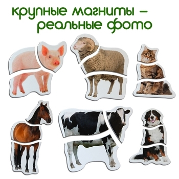 Набір магнітних пазлів Magdum Ферма (ML4031-19 EN) - Pampik - 5