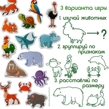 Набор магнитов Magdum Животные (ML4031-16 EN) - Pampik - 3