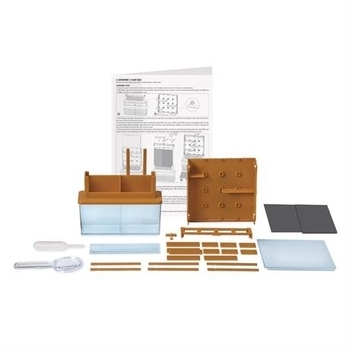 Набір для досліджень 4M Рослинний лабіринт (00-03352) - Pampik - 2