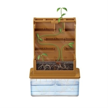 Набір для досліджень 4M Рослинний лабіринт (00-03352) - Pampik - 3