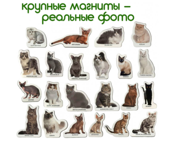 Магнітний набір Magdum Magnetic set Breeds of cats (ML4031-13 EN) - Pampik - 4