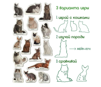 Магнітний набір Magdum Magnetic set Breeds of cats (ML4031-13 EN) - Pampik - 3