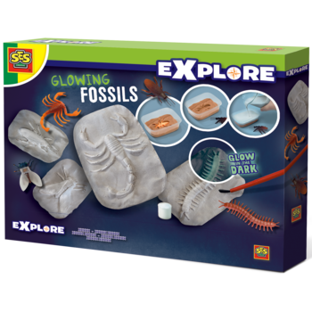 Игровой набор Ses Creative Исследователь Светящиеся Окаменелости Насекомых (25073S) - Pampik