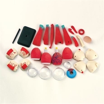 Набір для досліджень Edu-Toys Модель очного яблука збірна, 14 см (SK007) - Pampik - 4