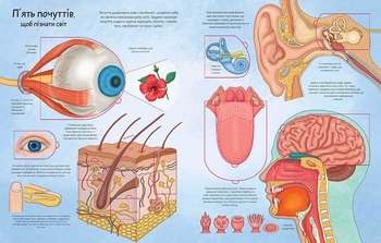 Твоє тіло - Елеонора Барзотті - Pampik - 3