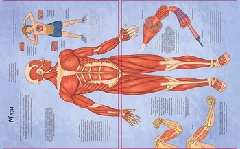 Твоє тіло - Елеонора Барзотті - Pampik - 5