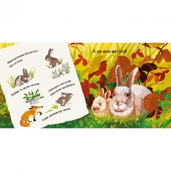 Знайомся, я кроленя - Жученко М.С. - Pampik - 2