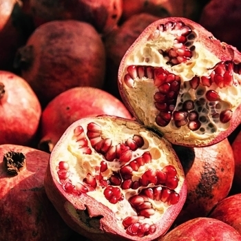 Шампунь Nature Box для фарбованого волосся з гранатовою олією холодного віджиму, 385 мл - Pampik - 6