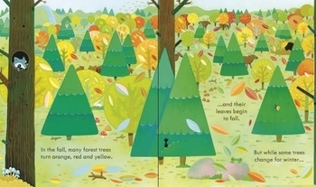 Детская книга Usborne Внутри леса, англ. язык - Анна Милбурн - Pampik - 2