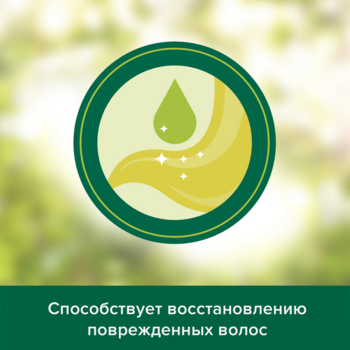 Шампунь Palmolive Натурель Відновлення Масло Аргана, 380 мл - Pampik - 7