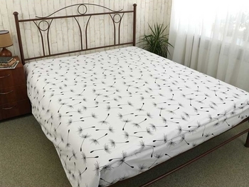 Підодіяльник Руно Fly, бязь, 215х143, білий (51.114Б_Fly white) - Pampik