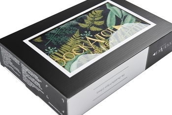 Змінний чохол для матраца-кокона DockATot Deluxe + Night Falls, зелений (20 328) - Pampik