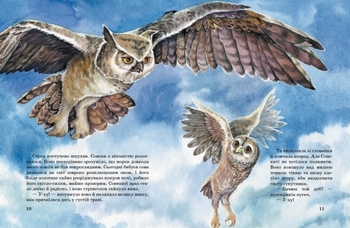 Акварельні історії : Совеня, яке водило на прогулянки луну. Єва Сольська - Pampik - 2