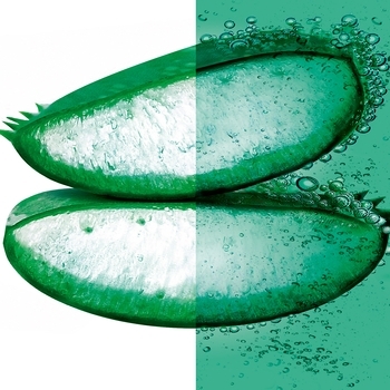 Шампунь Garnier Суперфуд Алое, 350 мл - Pampik - 5