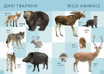 Перша книга малюка. Baby's first book - Гуменна Л.М. - Pampik - 5