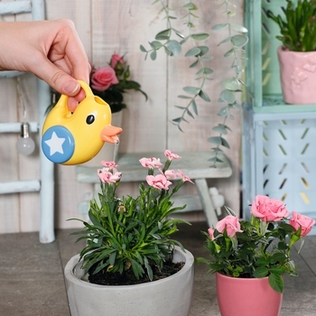 Набір одягу для ляльки Zapf Baby Born Deluxe Весела прогулянка (830086) - Pampik - 5