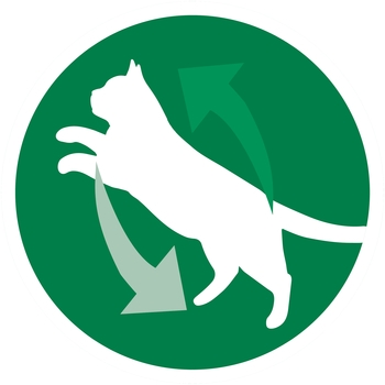 Вологий корм для кішок Purina One Indoor Тунець, зелена квасоля в гриль-соусі, 85 г - Pampik - 3