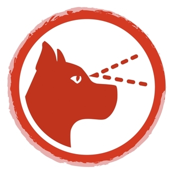 Сухой корм для взрослых активных собак Purina Friskies, с говядиной, 2,4 кг - Pampik - 4