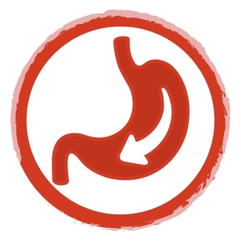 Сухой корм для взрослых активных собак Purina Friskies, с говядиной, 2,4 кг - Pampik - 7