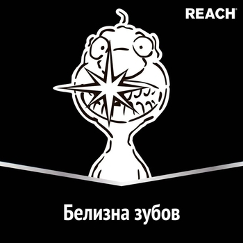 Зубная щетка Reach Stay White средняя, синий - Pampik - 7