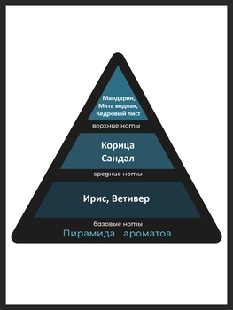 Гель для душа STR8 Original, 250 мл - Pampik - 2