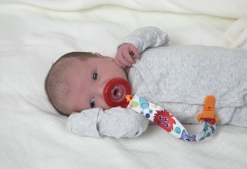 Силиконовая пустышка Nuby Вишенка, с естественным движением соска, 6+ мес., красный (5787MACSred) - Pampik - 7