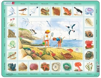 Пазл рамка-вкладиш Larsen На море, 48 деталей (NA2-UA) - Pampik