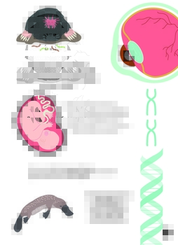 Тіло людини - Крістіна Перабоні - Pampik - 6