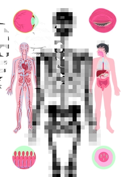Тіло людини - Крістіна Перабоні - Pampik - 5