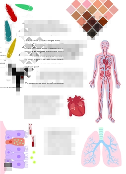 Тіло людини - Крістіна Перабоні - Pampik - 8