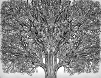 Школа Добра і Зла. Єдиний Істинний король, книга 6 - Зоман Чейнані - Pampik - 4