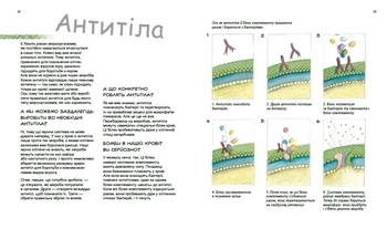 Генетика для дітей: Герої та лиходії в нашому тілі - Патрік А. Боерле, Норберт Ланда - Pampik - 3