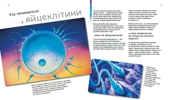 Генетика для дітей: X та Y, дівчинка або хлопчик? - Патрік А. Боерле, Норберт Ланда - Pampik - 5