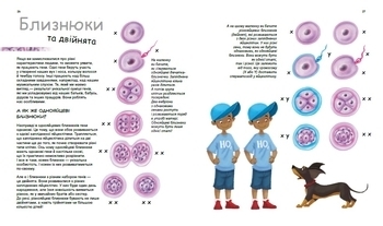 Генетика для дітей: X та Y, дівчинка або хлопчик? - Патрік А. Боерле, Норберт Ланда - Pampik - 3