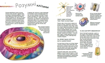 Генетика для дітей: Геніальні гени - Патрік А. Боерле, Норберт Ланда - Pampik - 2