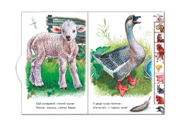 Малятам про звіряток: На підвір'ї - Г. М. Меламед - Pampik - 4