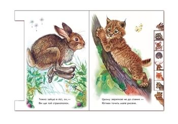 Малятам про звіряток: У лісі - Г. М. Меламед - Pampik - 4