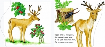 Перші кроки: У зоопарку - Каспарова Юлія Вадимівна - Pampik - 4