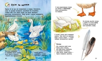 Енциклопедія дошкільника: Свійські тварини - Каспарова Юлія - Pampik - 2