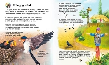 Енциклопедія дошкільника: Птахи - Каспарова Юлія - Pampik - 4