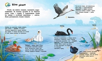 Енциклопедія дошкільника: Птахи - Каспарова Юлія - Pampik - 3