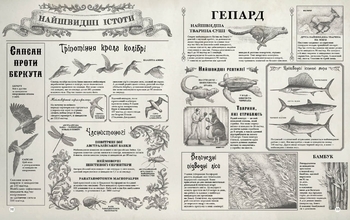 Найвища гора. Найглибший океан - Кейт Бейкер - Pampik - 4